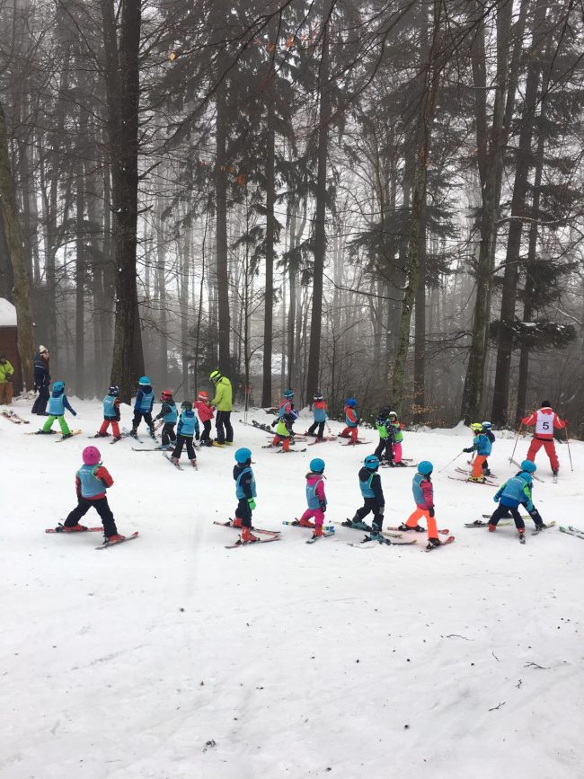 IMG-20190201-WA0002 (1)