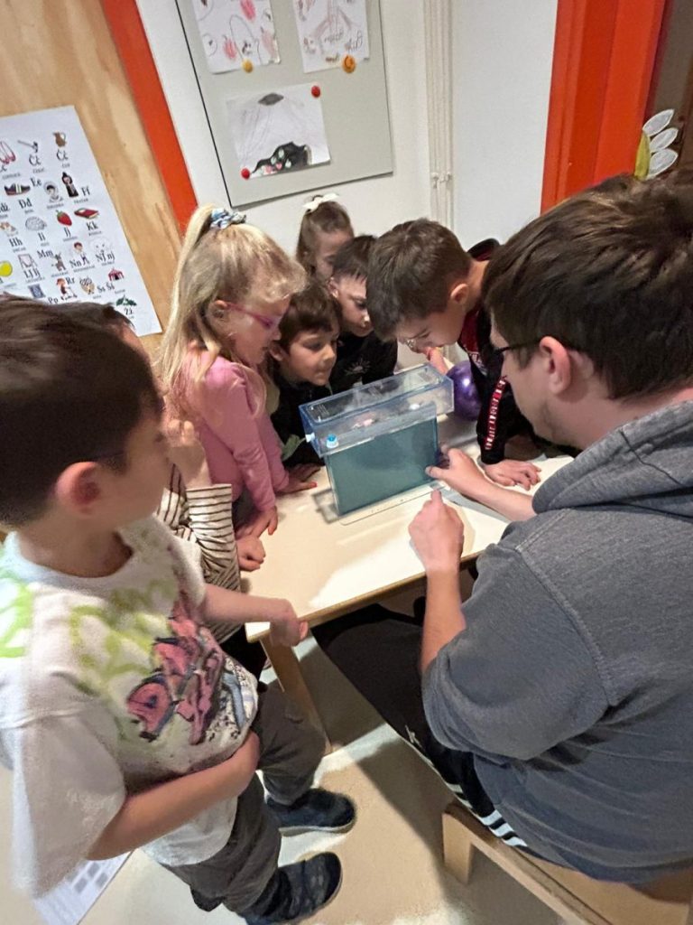 Svijet mrava u skupini Ptičice